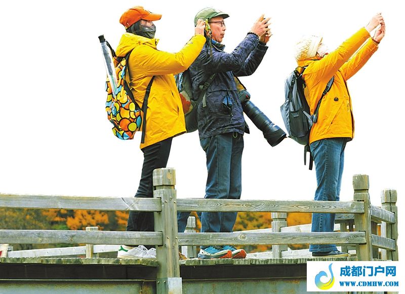 锦绣山水 如何绘就支柱产业「相关图片」